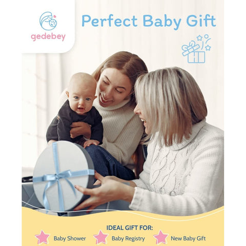 Baby Fruit Feeder Pacifier